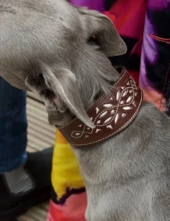 Penelope Chilvers Dog Accessories*Dog Collar