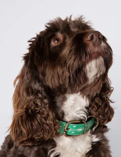 Penelope Chilvers Dog Accessories*Dog Collar