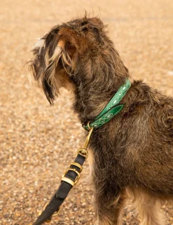 Penelope Chilvers Dog Accessories*Dog Collar